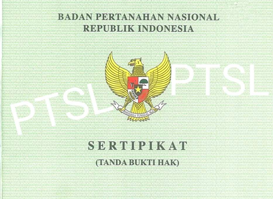 IMG 20251109 205741 copy 933x681