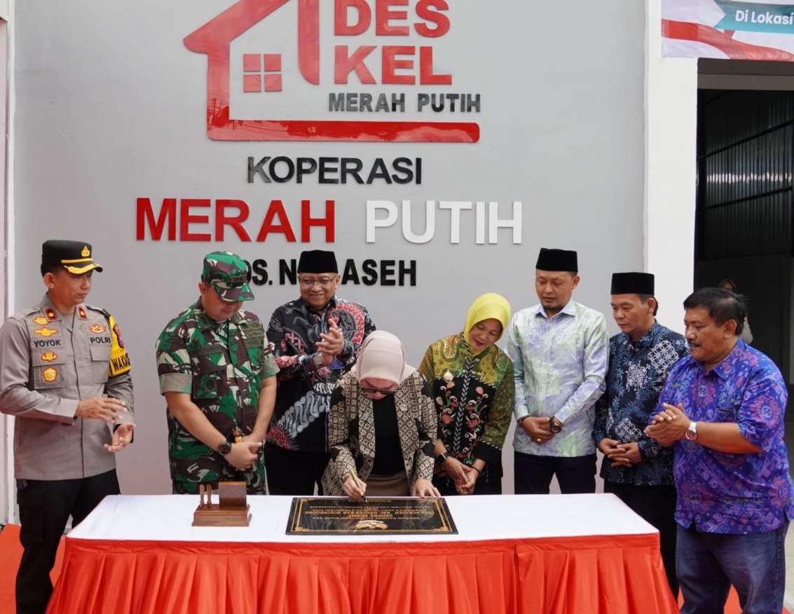 IMG 20260208 WA0106 copy 1133x876