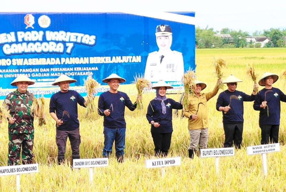 IMG 20260228 WA0103 copy 963x646