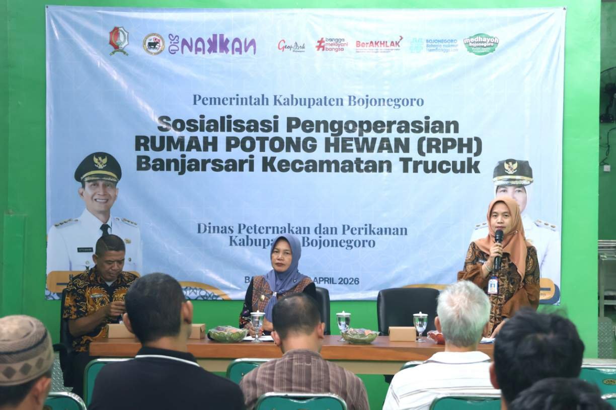 1000281259 copy 1224x815