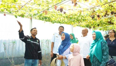 IMG 20260702 WA0316