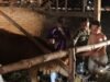 Melampaui Target: TMMD 129 Bojonegoro dan Disnakkan Sentuh Nadi Ekonomi Warga Lewat Layanan Kesehatan Hewan