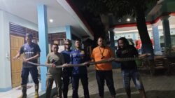 Geger King Kobra 4 Meter Masuk Rumah Warga Tondomulo, Damkarmat Bergerak Cepat