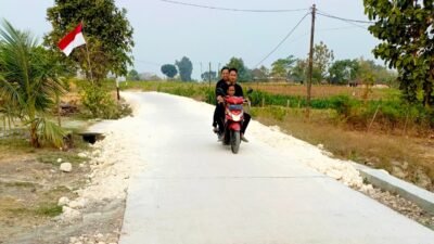 IMG 20260811 WA0410