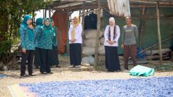 Unik! Warga Tebon Manfaatkan Sampah Plastik untuk Bayar Pajak Daerah
