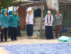 Unik! Warga Tebon Manfaatkan Sampah Plastik untuk Bayar Pajak Daerah