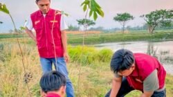 Mahasiswa KKN-TK 01 Universitas Bojonegoro Tanam Pohon Sukun di Kawasan Sumber Mata Air Desa Kesongo