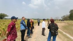 Kemarau Panjang, Purwosari Siapkan Tiga Skenario Pengairan untuk 3.376 Hektare Lahan Pertanian