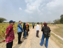 Kemarau Panjang, Purwosari Siapkan Tiga Skenario Pengairan untuk 3.376 Hektare Lahan Pertanian