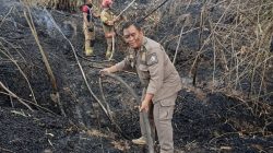 Rumpun Bambu di Megale Kedungadem Terbakar, Petugas Damkarmat Berjibaku Padamkan Api