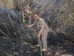 Rumpun Bambu di Megale Kedungadem Terbakar, Petugas Damkarmat Berjibaku Padamkan Api