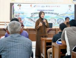 Perkuat Ekonomi Kerakyatan, Pemkab Bojonegoro Kembangkan Potensi Usaha Perikanan Lele